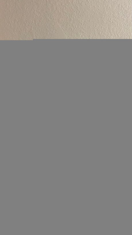 Lizlavenderx Profile pic