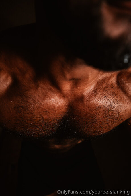 Yourpersianking erotic model pic