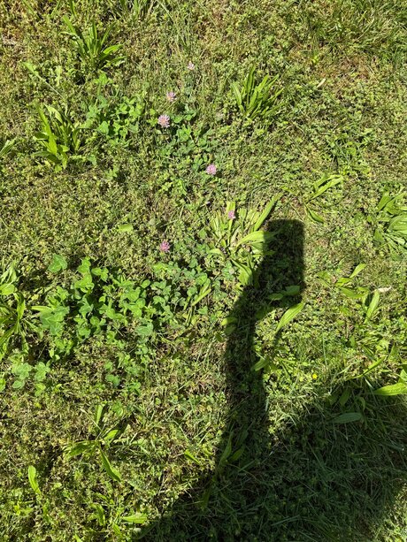 Amaraevermore pornstar best photo