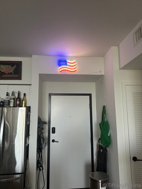 Discotacos adult star images