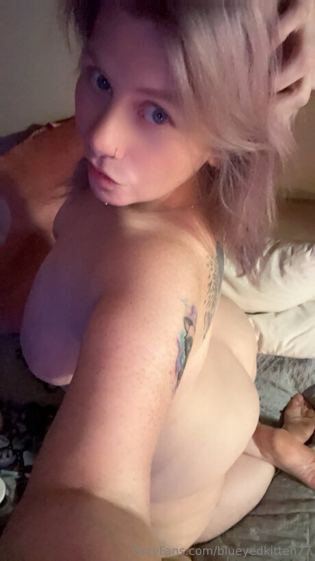 Blueyedkitten77 star nice photo