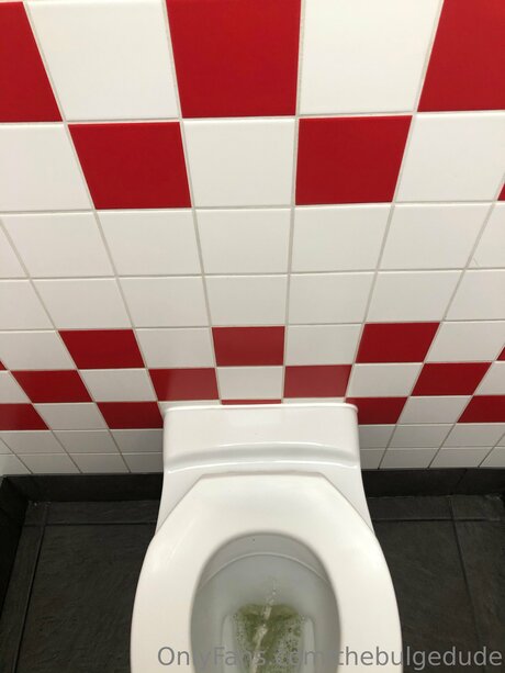 Thebulgedude model sex image