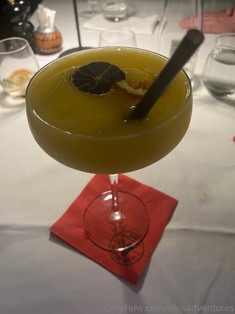 Vikisadventures star sex images