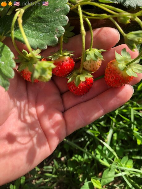 Rick676 high quality actress pictures