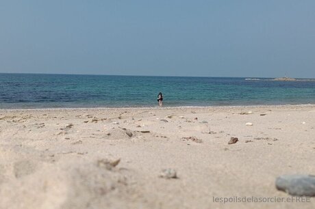 asian tranny onlyfans hd img