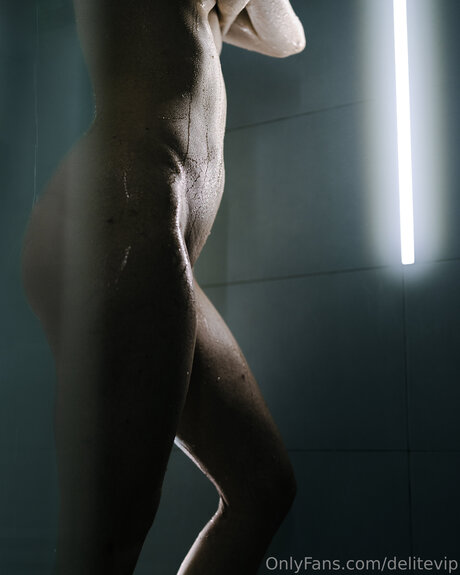 Delitevip high quality star picture