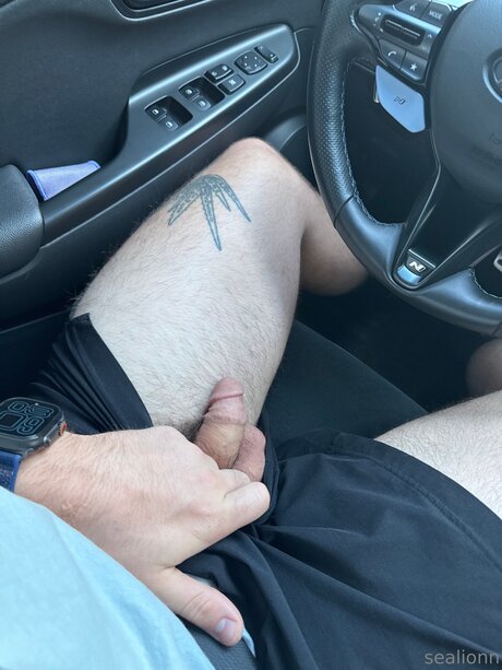 Emsealion adult star image