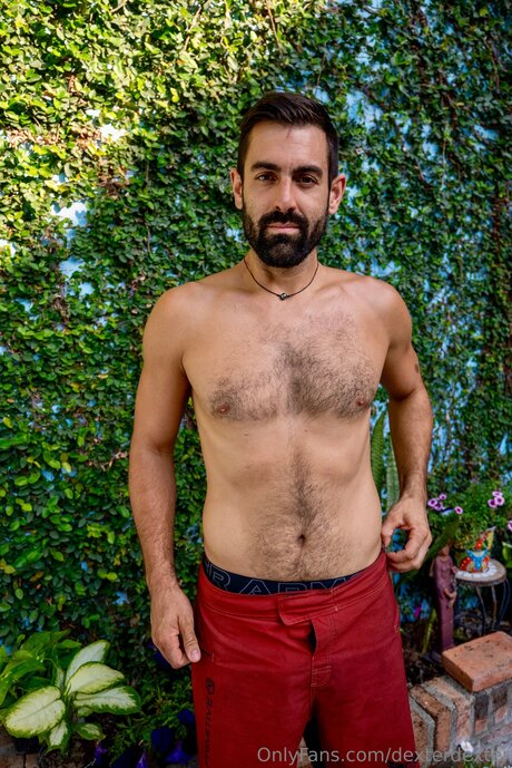 Dexterdexter star galleries