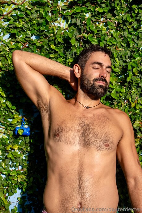 Dexterdexter hot pornstar img