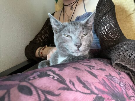 Zombby star high quality images