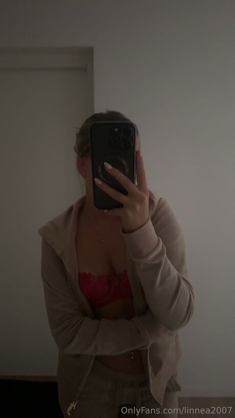 Linnea2007 art star galleries