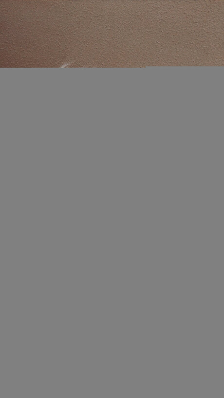 Ashley Nicol pretty actress picture