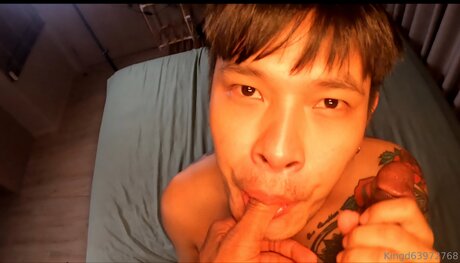 U370740840 top pornstar galleries