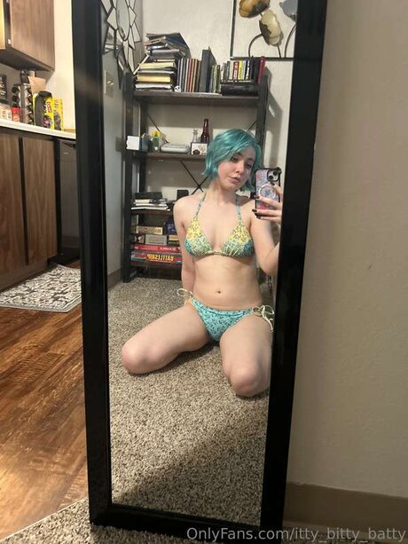 Itty Bitty Batty model top picture