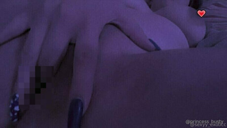 Museum Of Pleasure star best picture