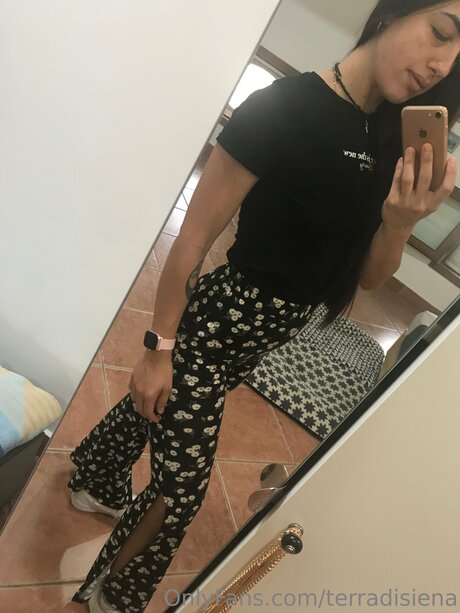 Terradisiena high quality model pic