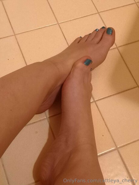 Cattleya Cherry pornstar beautiful picture