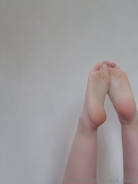 Cattleya Cherry perfect actress img