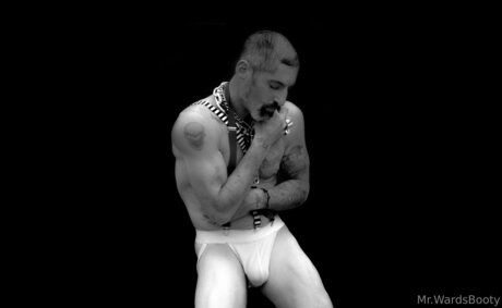 Mrward88 pornstar high quality archive