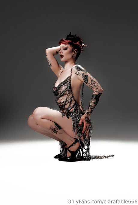 Clarafable666 model archive