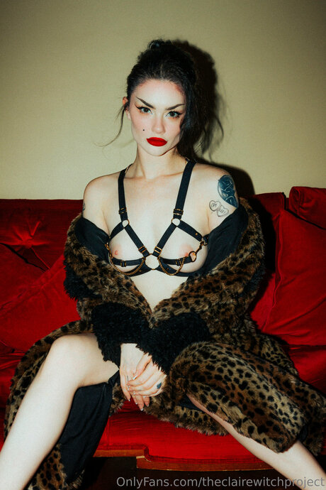 Clarafable666 model top images