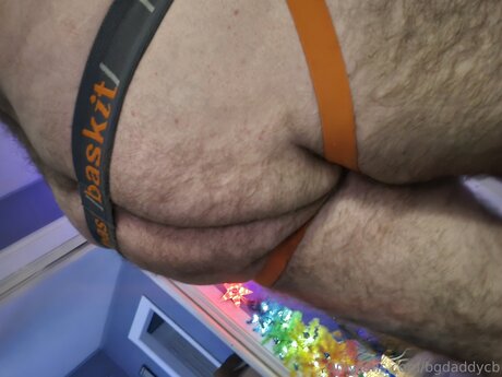 Bgdaddycb nude pornstar image