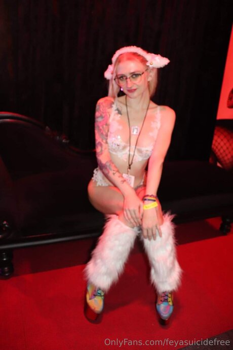 Feyasuicidefree pornographic star img