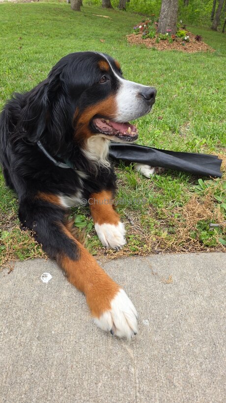 Chubbybrat69vip sex actress images