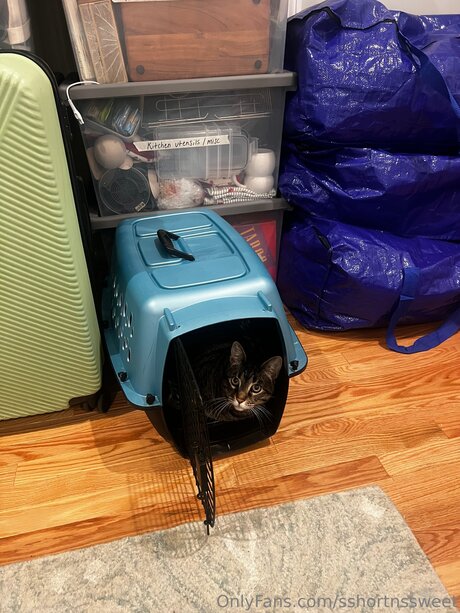 Sshortnssweet top model galleries