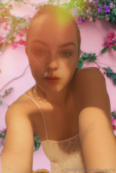 Tinygurly pornstar nice img