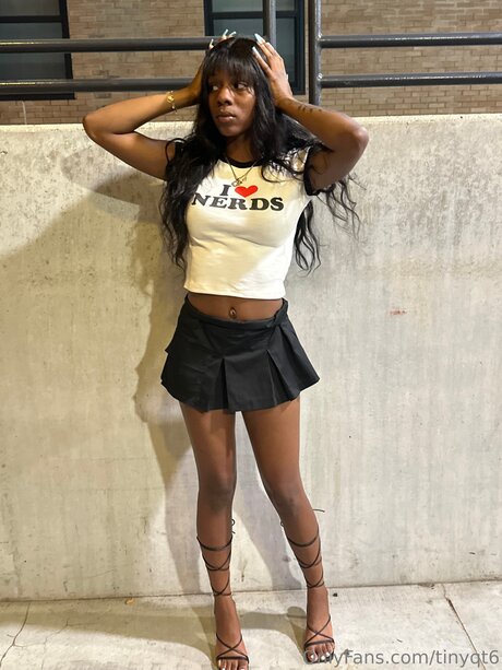 Tinyqt6 model pretty pic