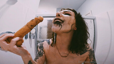 Lucifersfavorite star adult image