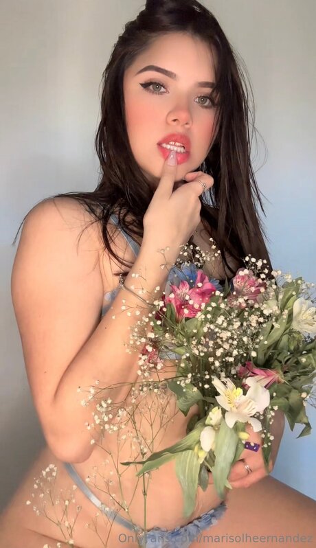 Marisolheernandez pornstar naked photo