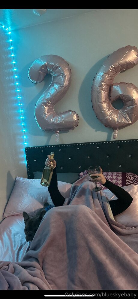 Blueskyebaby model top images