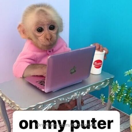 Itsm3wtw0 porn actress pics