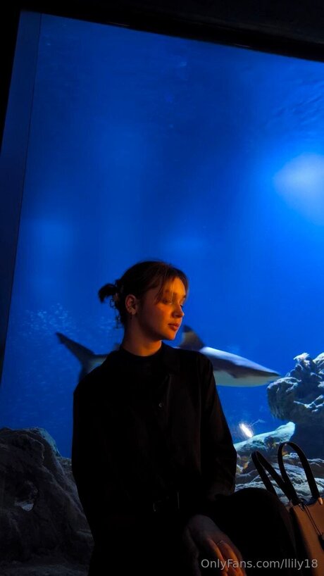 Llily18 perfect star images