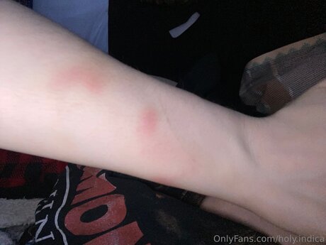 Holy Indica art star gallery