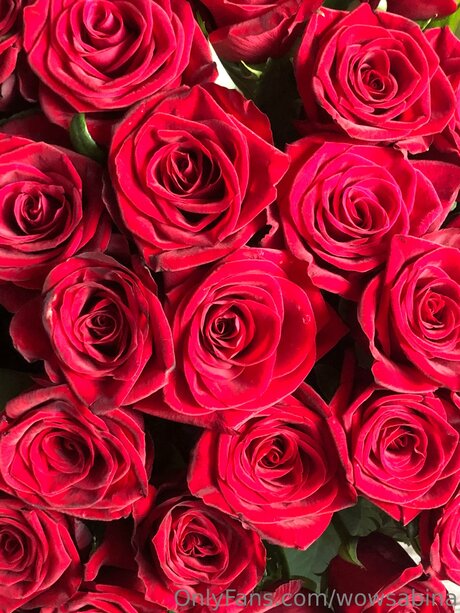 Wowsabina star sex pic