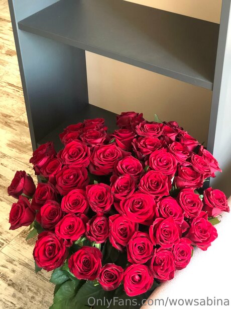 Wowsabina star perfect pictures