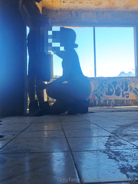 Ladydonnatellaa2 star pornographic picture