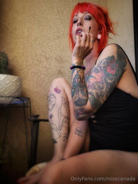 Misscanada hd pornstar archive