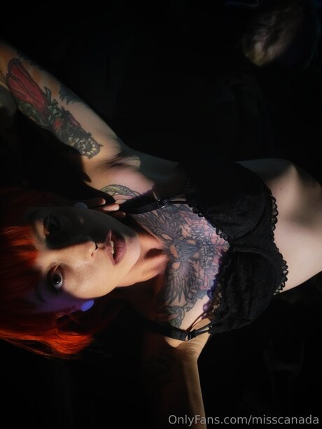 Misscanada art pornstar picture