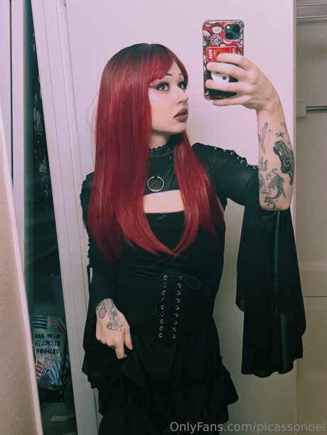 Picassonoel xxx star photos