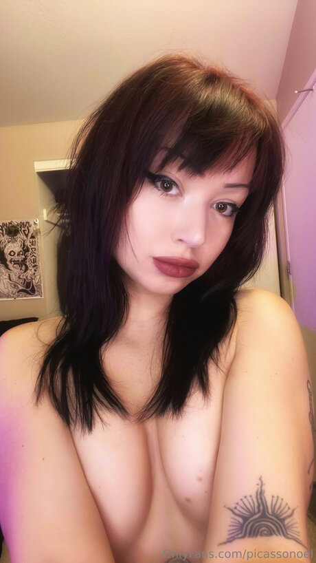 Picassonoel top model pic