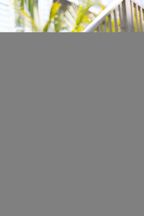 Scar Sole high quality star photo