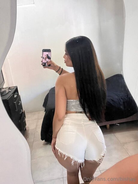 Bishay perfect model gallery