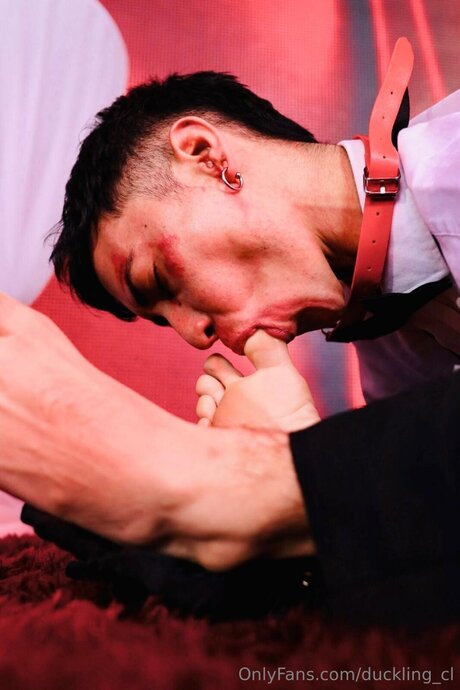 Duckling Cl art model images