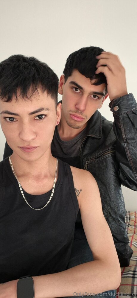 Duckling Cl art star galleries