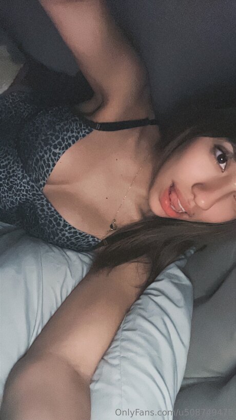 Ceciixo star free photo