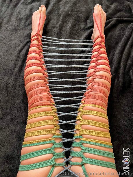 Setonix Shibari star high quality galleries